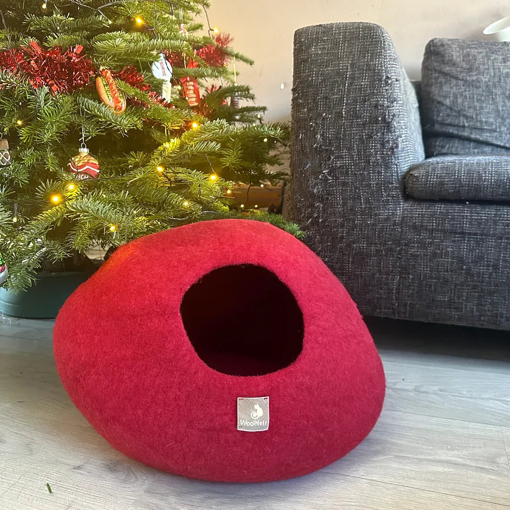 woolnest-premium-5284768 - WoolNest